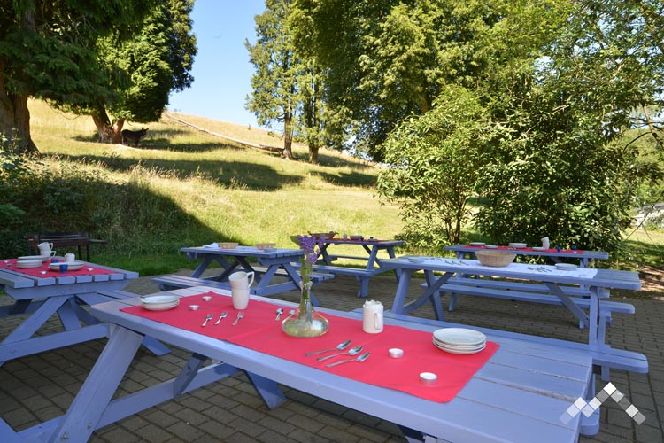 LE MANOIR DES ETANGS (28 pers.)-33